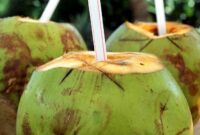 4. Air kelapa segar: minuman favorit anak saat diare yang efektif jaga keseimbangan cairan tubuh.. (Pixabay.com /Gadini)